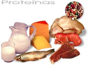 proteinas